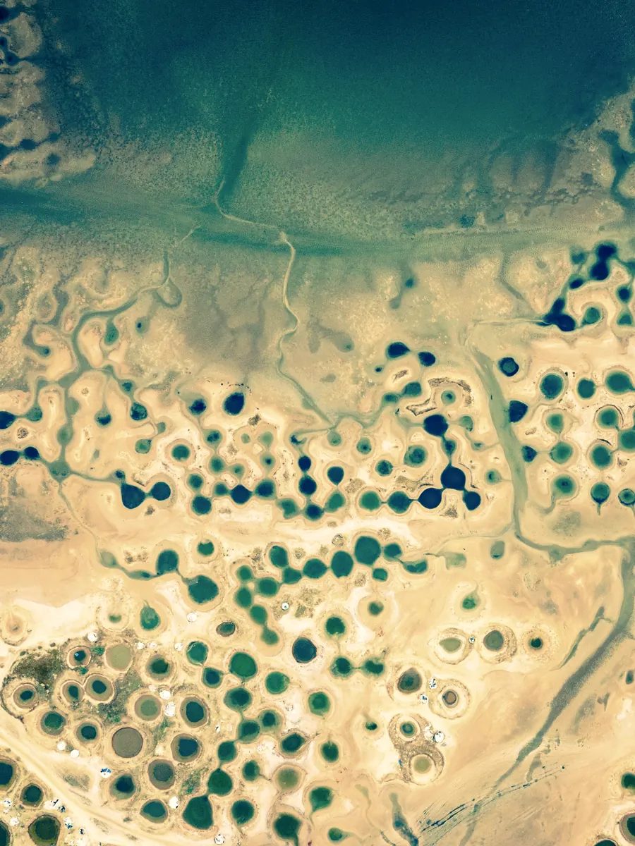 Centre-pivot irrigation circles in arid cultivation, seen from above.